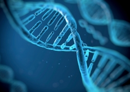 Комиссия по вопросам модификации ДНК может появиться в США