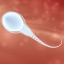 Искусственная сперма (сперматиды)