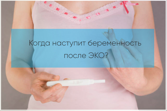 симптомы беременности после процедуры экстракорпорального оплодотворения